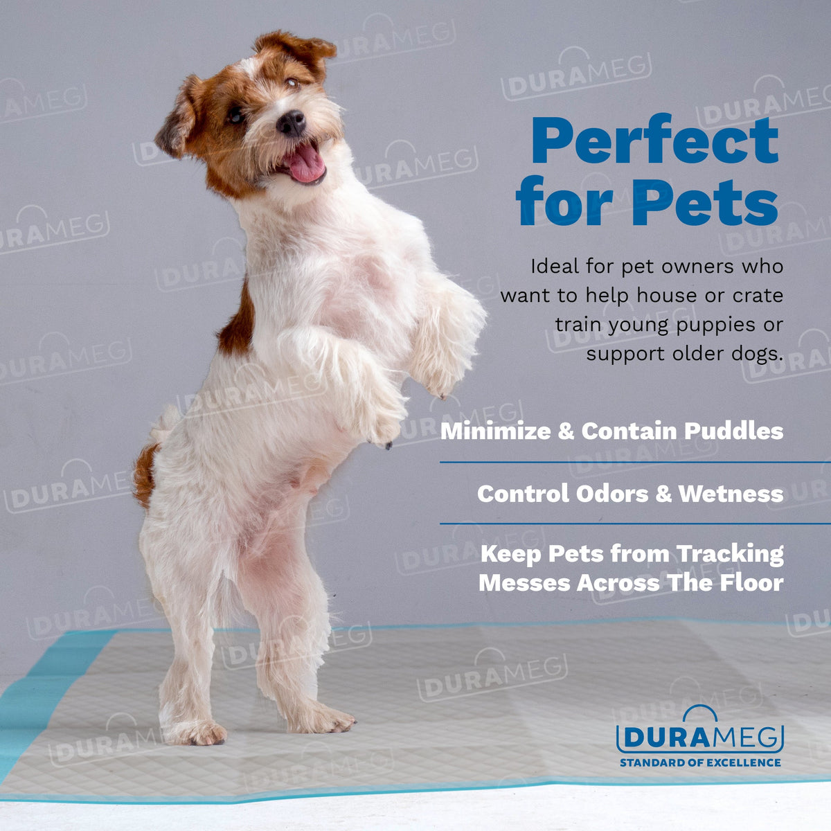 DURAMEG disposable pee pads for puppy training and pet accident protection