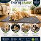 Large dog resting comfortably on DURAMEG washable pet underpad